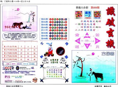 香港正版全年免费资料公开